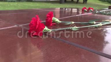 红色康乃馨花铺在无名战士纪念碑附近的石质花岗岩板上，永恒的火焰象征着胜利